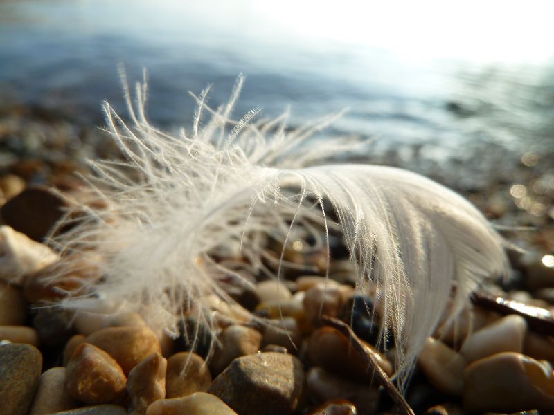 Sommerfrische in turbulenten Zeiten