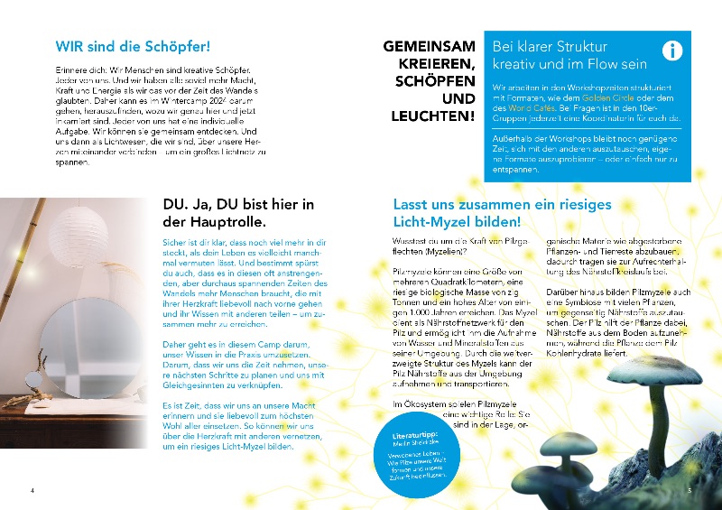 Dein weiterer Weg