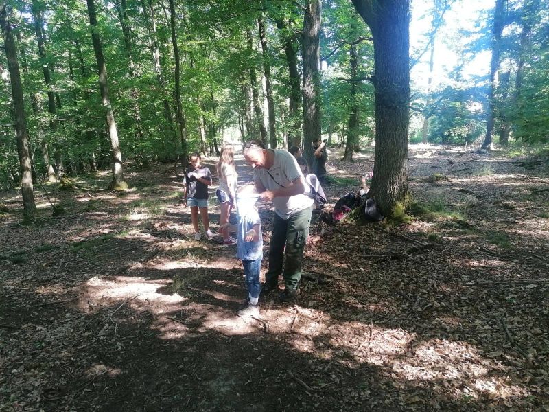14.10  Waldwahrnehmung