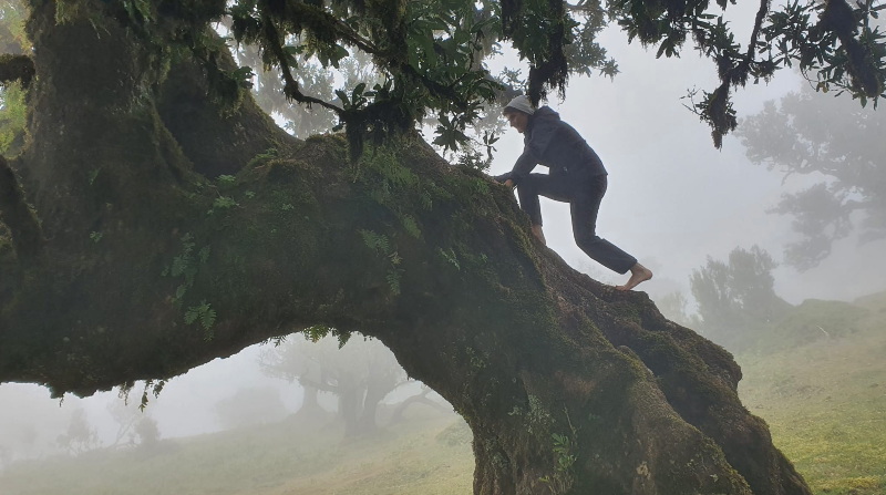 SEMINAR IN MADEIRA "REISE INS NEUE ZEITALTER"