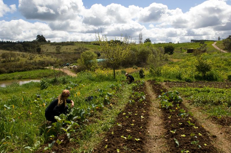 Hands-on in the Solar Test Tield and Garden