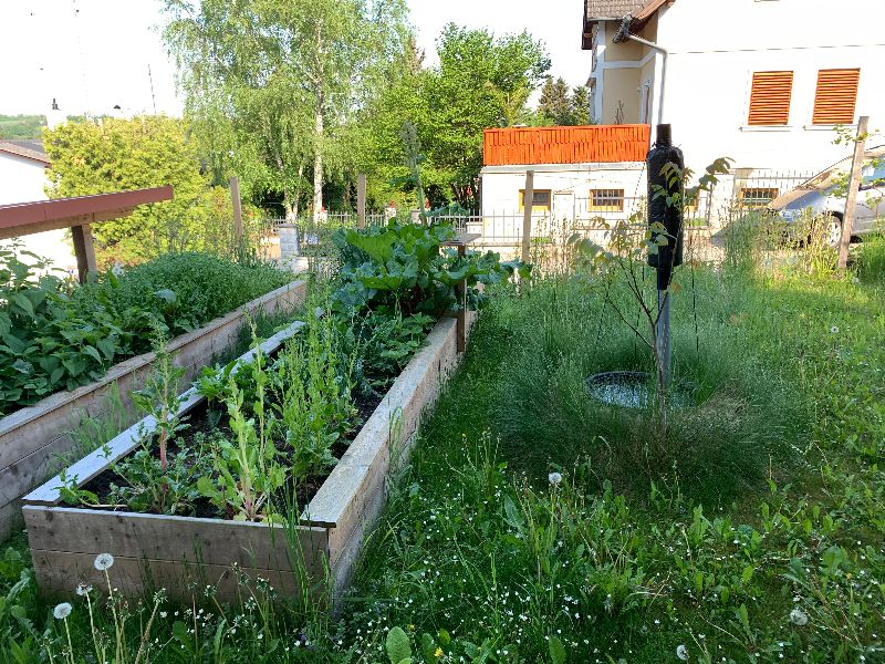 NaturHarmonisierungsStation NHS 2.0 - Workshop