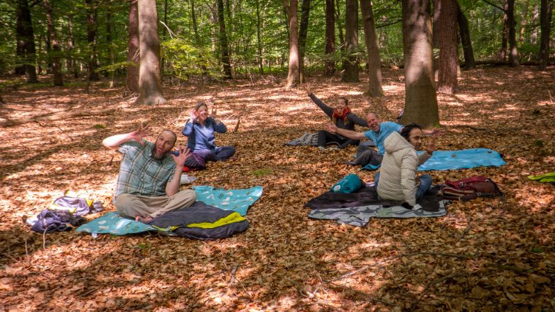 Psychoactive & Psychedelic Inner Journey with Magic Truffels & Authentic Relating | Psilocybin Trip | Heuvelrug National Park | Holland | 4 days