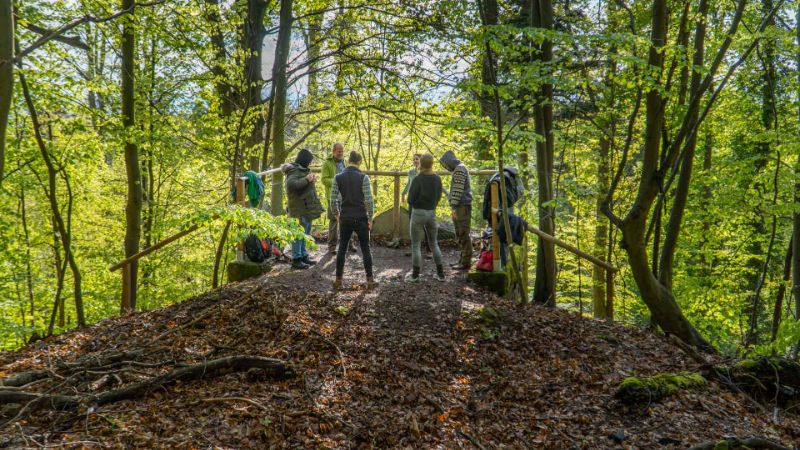 The Compassion & Honesty Process - Heidelberg - Japanese Arboretum - Free event