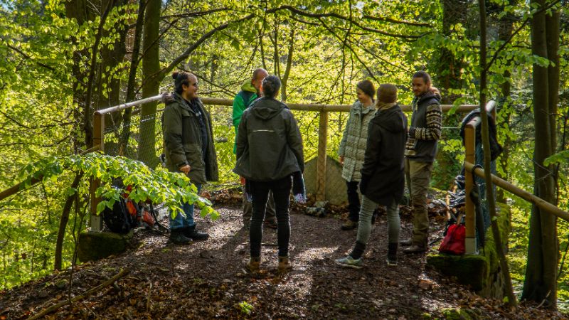 The Compassion & Honesty Process - Heidelberg - Japanese Arboretum - Free event