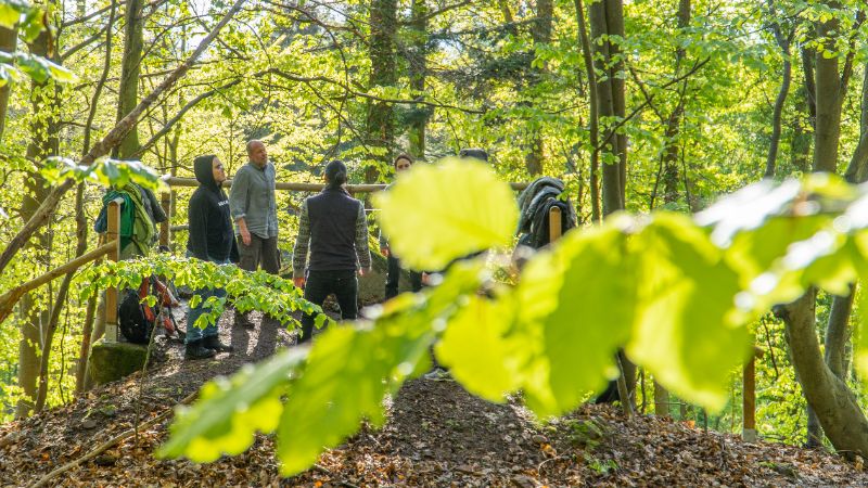 The Compassion & Honesty Process - Heidelberg - Japanese Arboretum - Free event