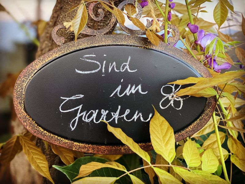 🎯NEUE WEGE IN DEINE BESTE VERSION✨