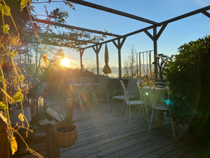 🎯NEUE WEGE IN DEINE BESTE VERSION✨