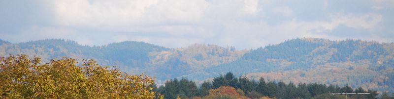 Seminar Gemeinschaftssuche/gründung
