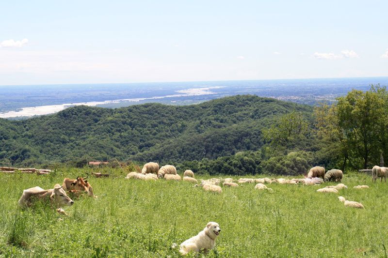 Visionssuche - Vision Quest / Italien, Friaul
