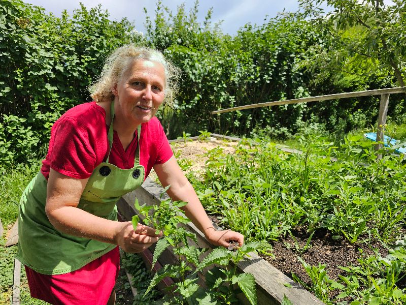 Folge deinem Herzensruf – Dein Weg zum eigenen Hof im Einklang mit der Natur