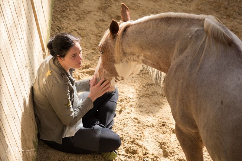 HORSE WISDOM Summit