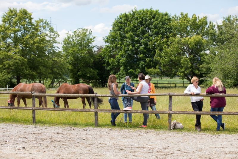 HORSE WISDOM Summit