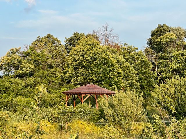 Eröffnung des Hortus Cyrenaicus Training und Retreat Zentrums