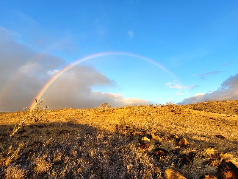 Seelenreise - Hawaii, Big Island