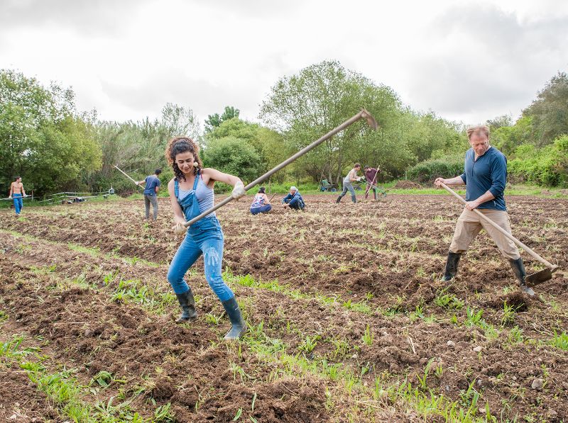 Gemeinsames Arbeiten im Solaren Test Feld und Garten