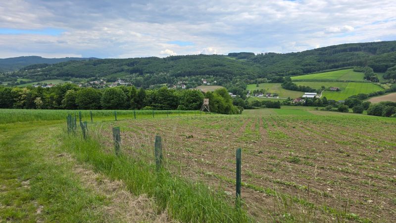 3. Living Earth Baumpflanztag