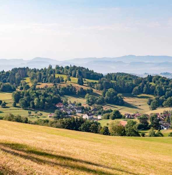 Die Reise zu dir selbst