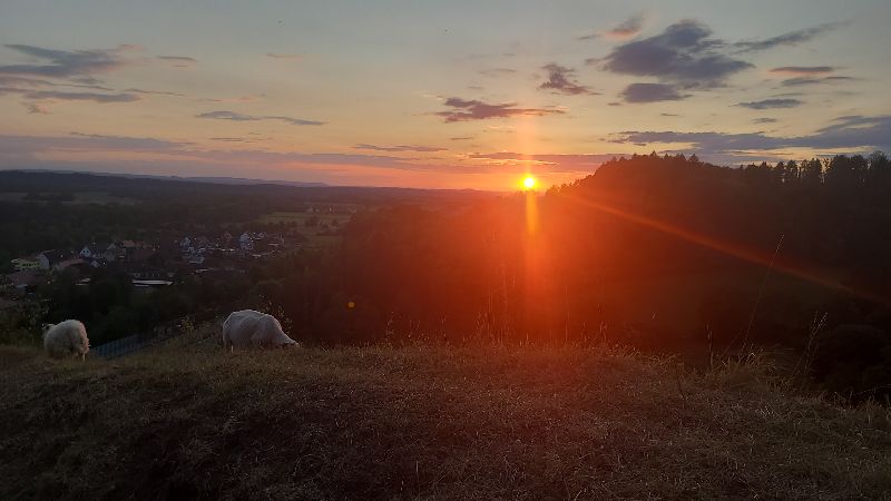 Pilgern zu innerer Kraft
