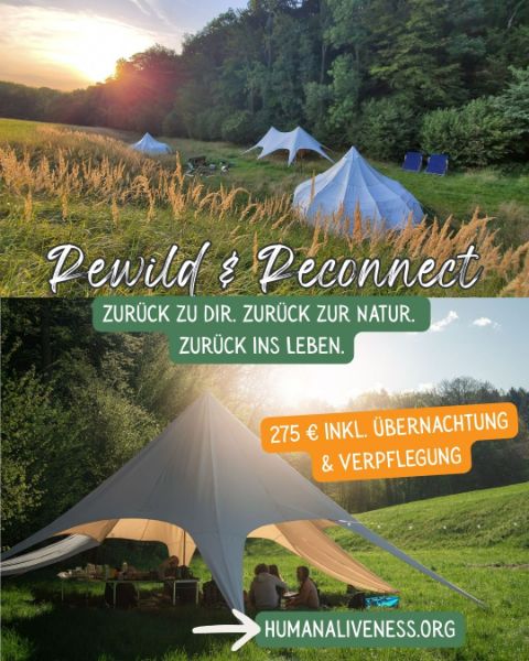 Rewild & Reconnect 07/2026