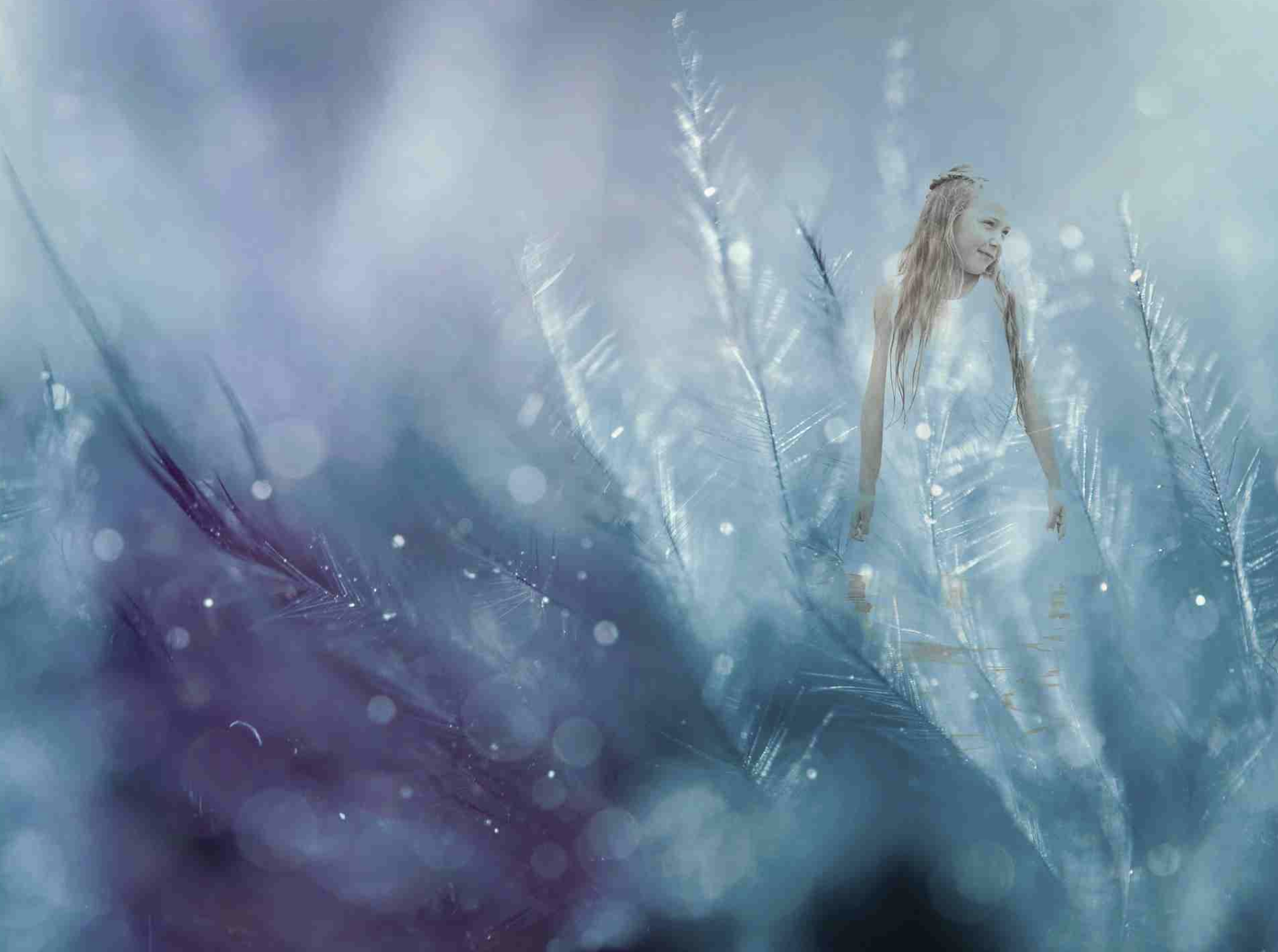 "Fairy" von Anja auf Pixabay