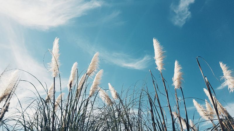 unsplash