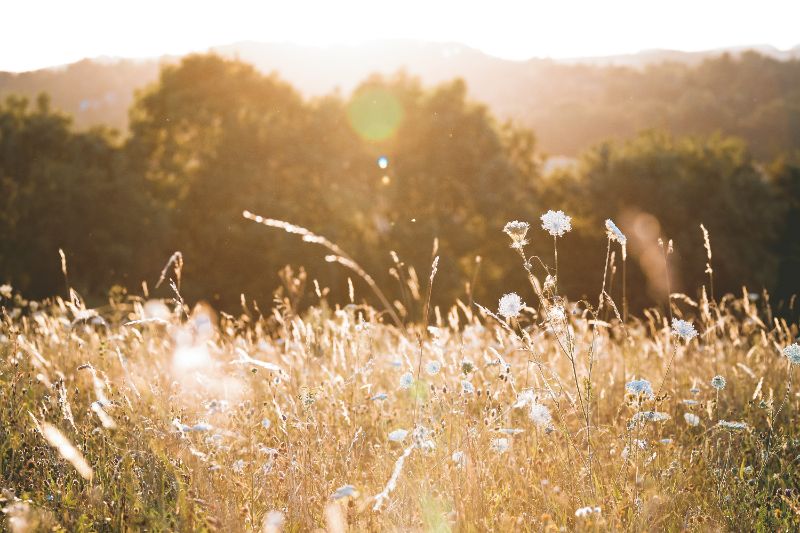 unsplash