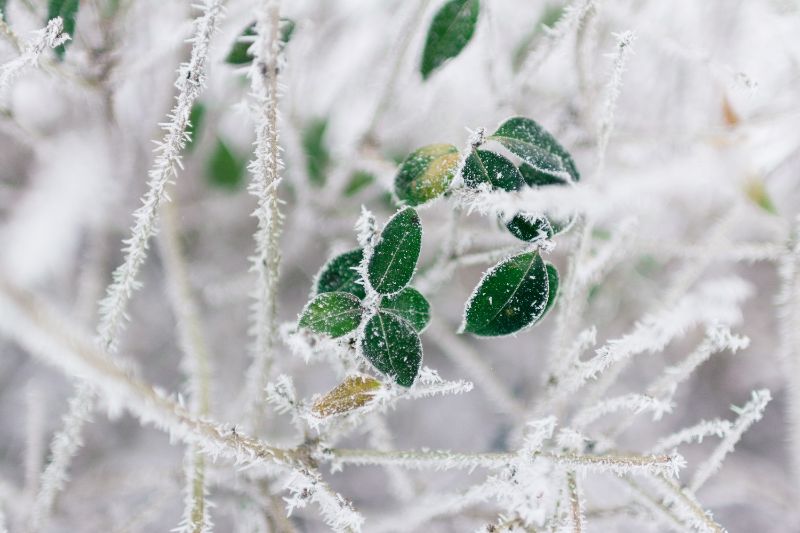 Foto von <a href="https://unsplash.com/@frostroomhead?utm_source=unsplash&utm_medium=referral&utm_content=creditCopyText">Rodion Kutsaiev</a> auf <a href="https://unsplash.com/de/fotos/QN2BhLmoUJ0?utm_source=unsplash&utm_medium=referral&utm_content=creditCopyText">Unsplash</a>