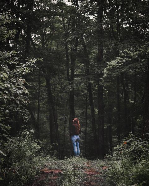 https://unsplash.com/de/@nicklinnen