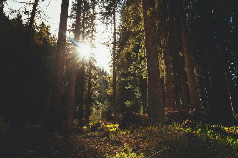 https://unsplash.com/de/@mrmarcojorger