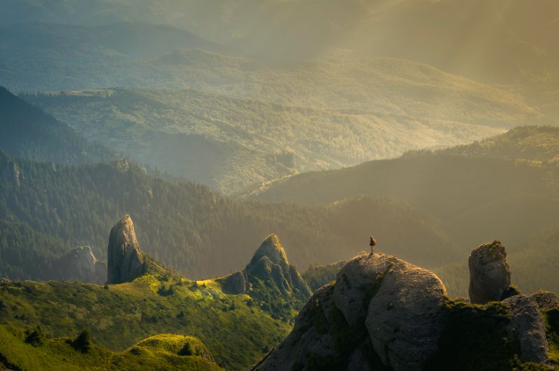 https://unsplash.com/de/@davidmarcu