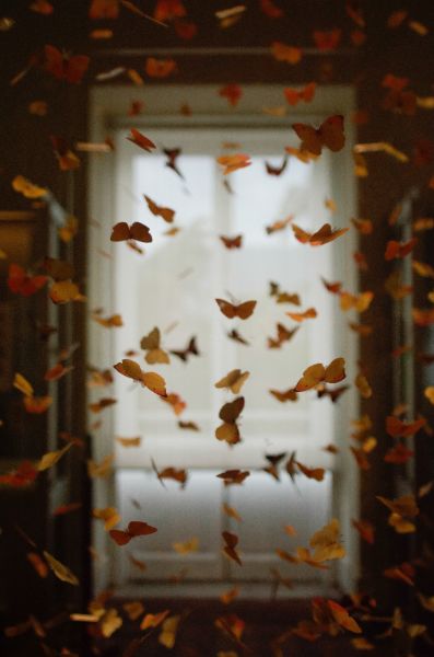 https://unsplash.com/de/@shotbycerqueira
