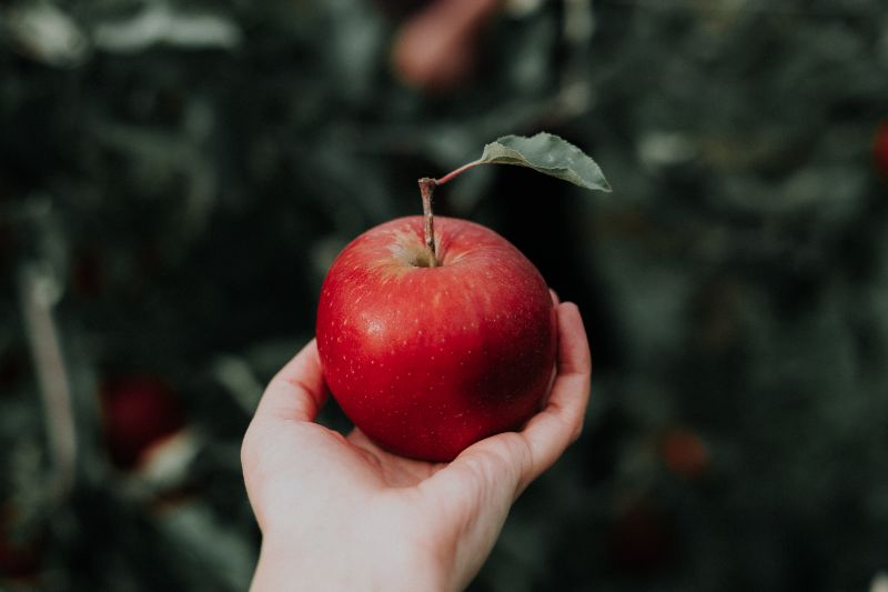 https://unsplash.com/de/@priscilladupreez
