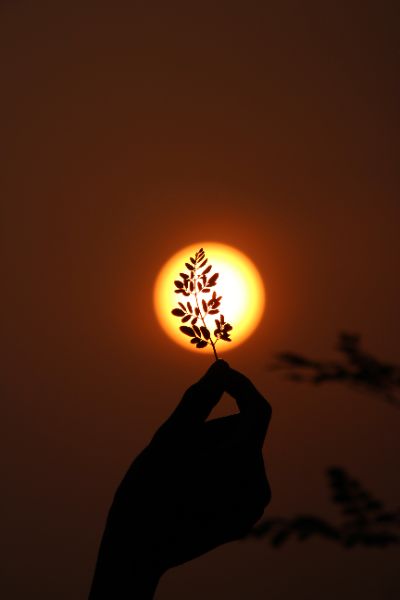 https://unsplash.com/de/@blvkroid