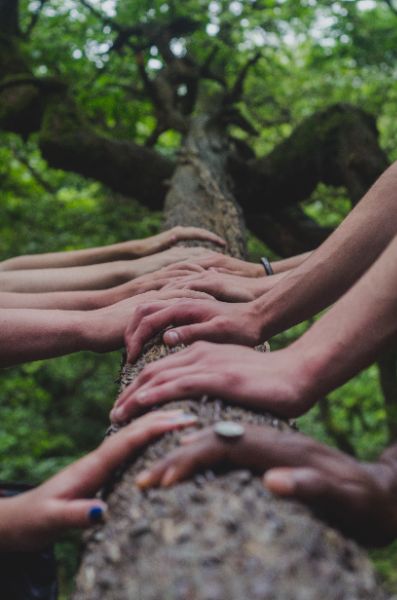https://unsplash.com/de/@shanerounce