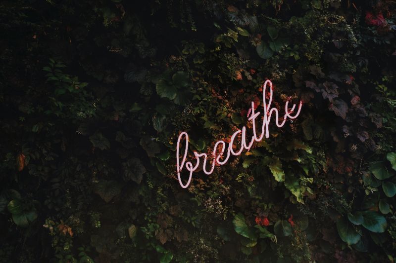 https://unsplash.com/de/fotos/vnpTRdmtQ30
