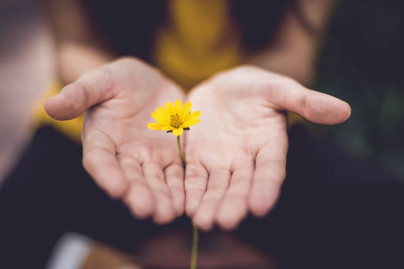 https://unsplash.com/de/@lmtrochezz