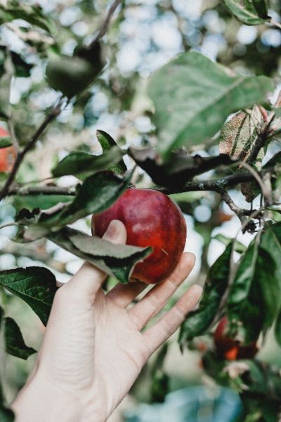 https://unsplash.com/de/@georgiadelotz