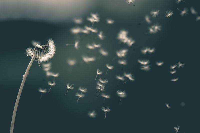 Foto von <a href="https://unsplash.com/@saadchdhry?utm_source=unsplash&utm_medium=referral&utm_content=creditCopyText">Saad Chaudhry</a> auf <a href="https://unsplash.com/de/fotos/YNM4KStg78I?utm_source=unsplash&utm_medium=referral&utm_content=creditCopyText">Unsplash</a>