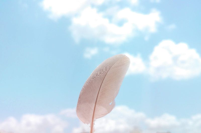 Foto von <a href="https://unsplash.com/@harisinghtanwar?utm_source=unsplash&utm_medium=referral&utm_content=creditCopyText">Hari Singh Tanwar</a> auf <a href="https://unsplash.com/de/fotos/BqXEa-464R0?utm_source=unsplash&utm_medium=referral&utm_content=creditCopyText">Unsplash</a>