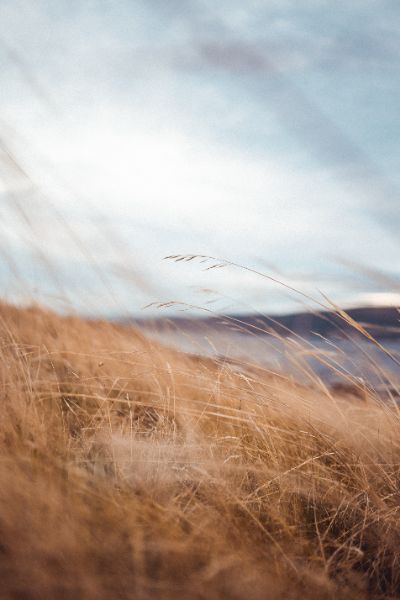 https://unsplash.com/de/@baileymahon