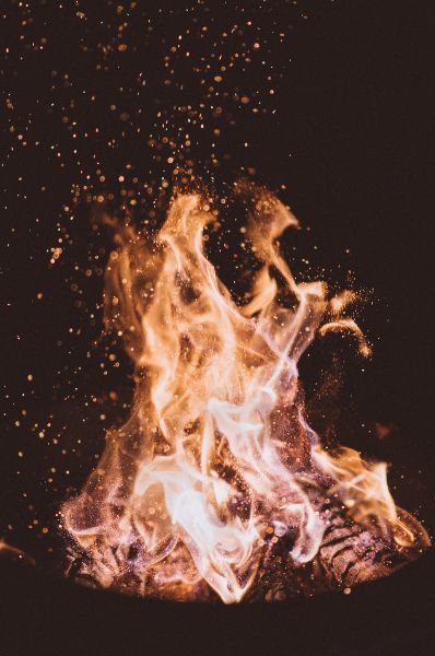 https://unsplash.com/de/@joshuanewton