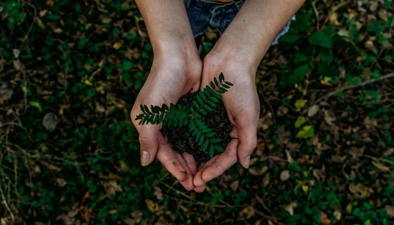 https://unsplash.com/de/@noahbuscher