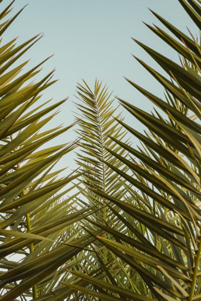 https://unsplash.com/de/@ashkfor121