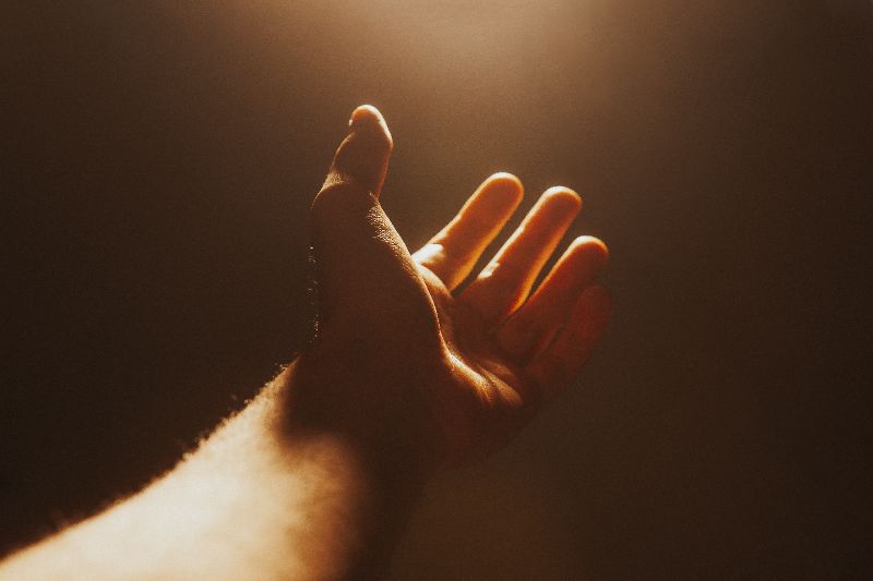 https://unsplash.com/de/@jacksondavid