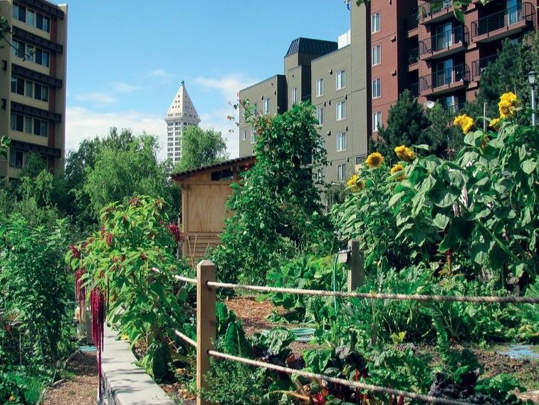 Seattle Parks and Recreation auf Flickr