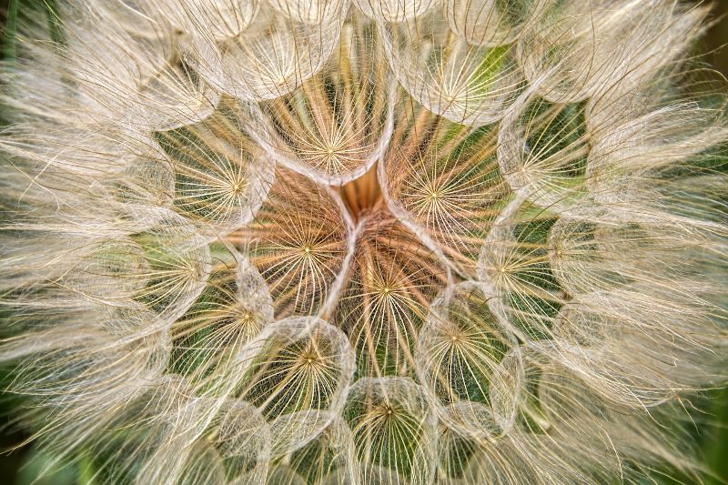 Claud Richmond auf Unsplash
