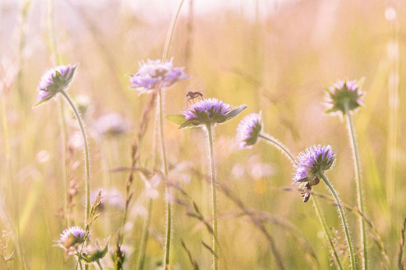 Lum3n auf Pexels