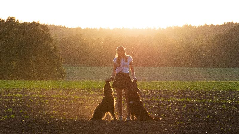 Joshua Plattner auf Pexels