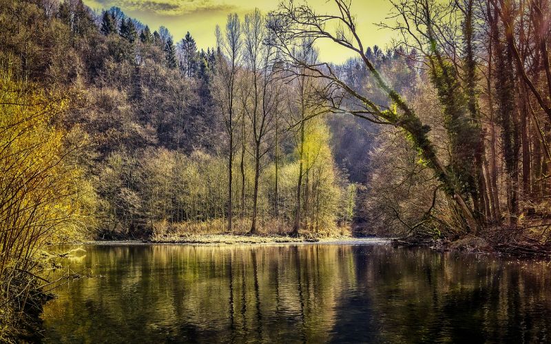 Peter H auf Pixabay